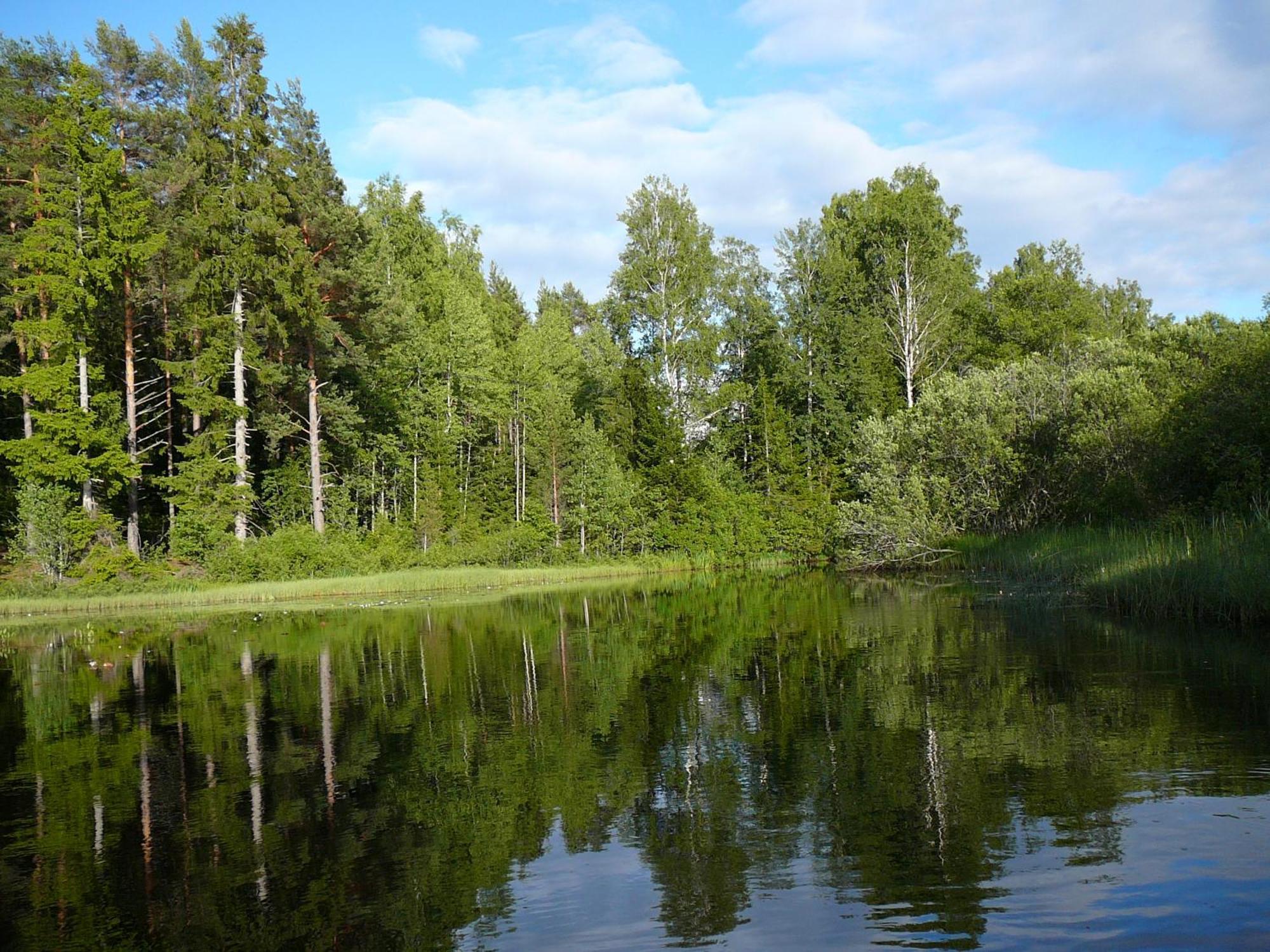 Lonneberga Vandrarhem & Hostel Экстерьер фото